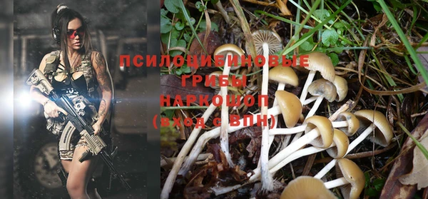 бутират Волосово